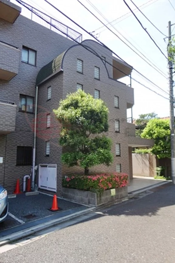 ピトレスク弥生