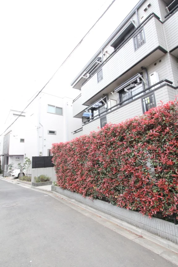 サンテラス本郷