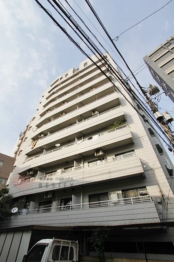 白山スカイビュー