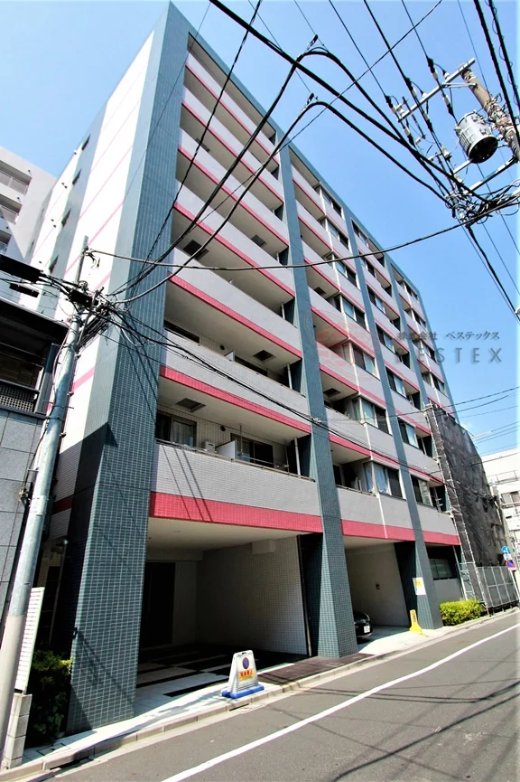 Ｌａｖｉ’ｎ　ラヴィン