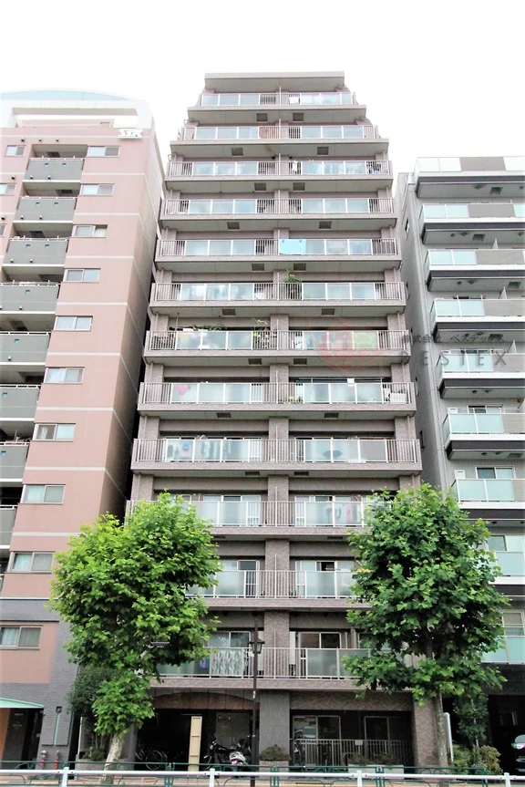 ドムール三ノ輪