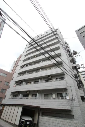 白山スカイビュー