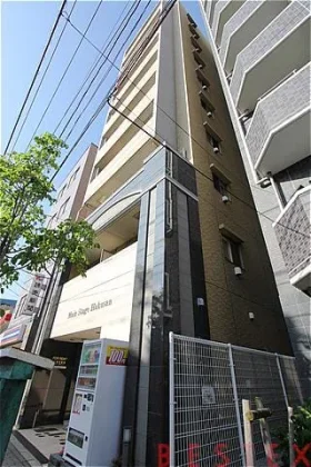 メインステージ白山