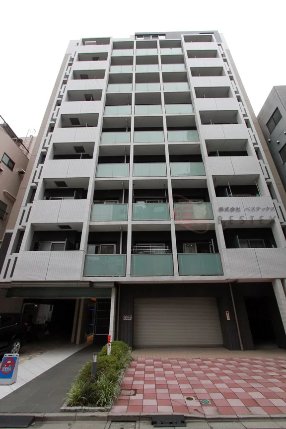 グレースランド