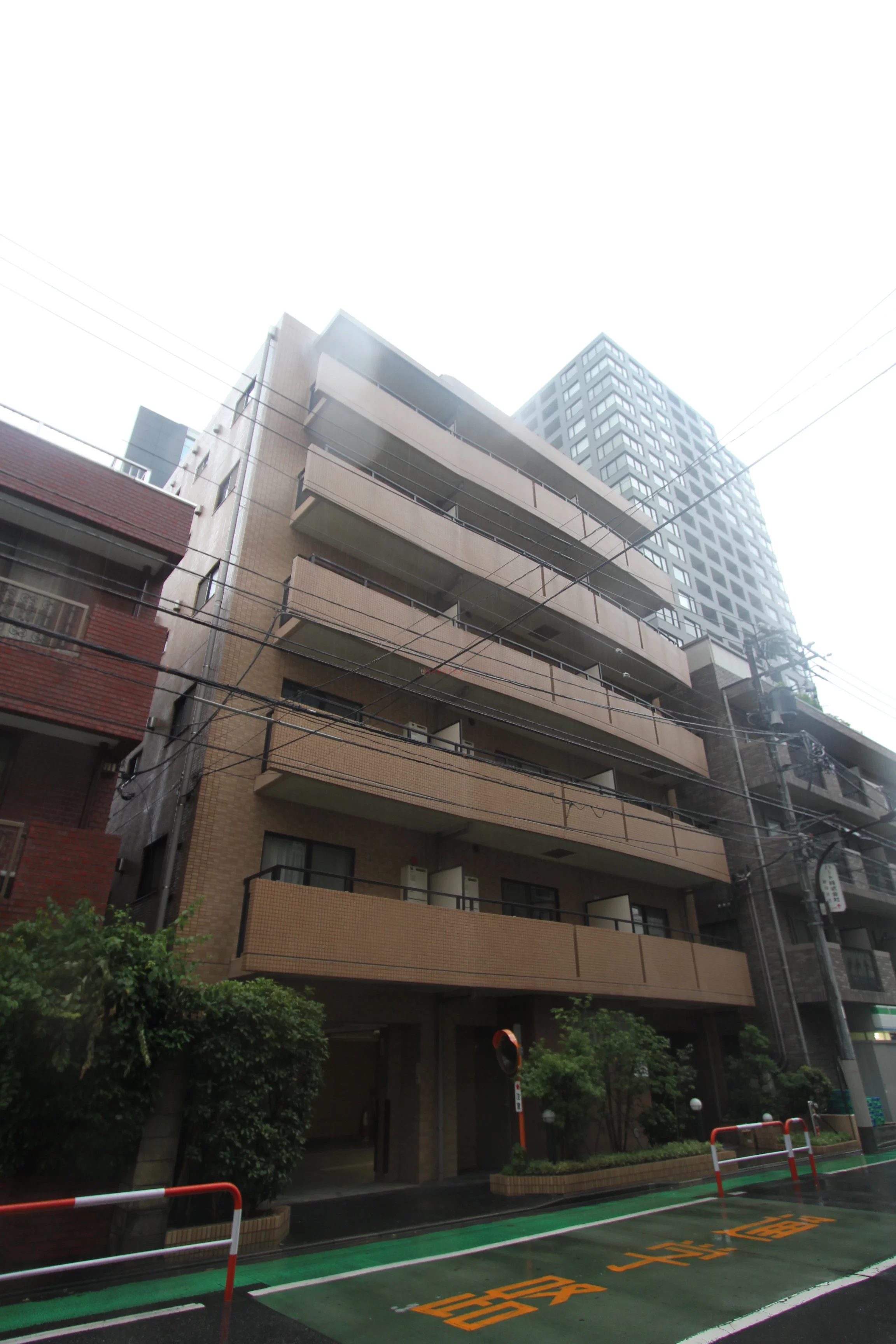 パルム・ドール21