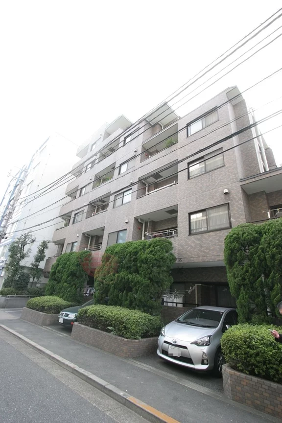 エクセルシオール文京南