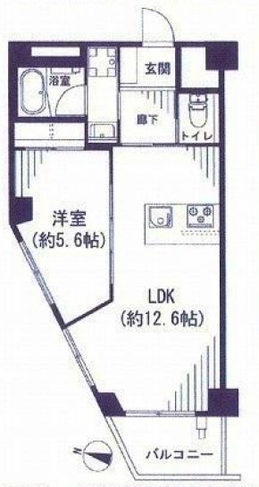 パラシオン本郷 8階 1LDKの間取り