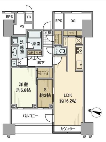 【築浅】パークコート文京小石川ザ・タワー 19階 1SLDKの間取り