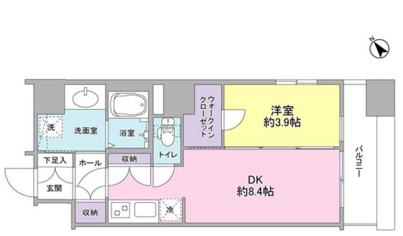 セレーナ文京千石 10階 1LDKの間取り