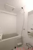 バス