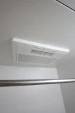 バス