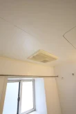 バス