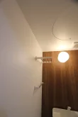 バス
