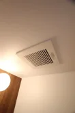バス