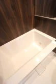 バス