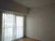 窓