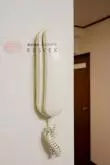 インターホン