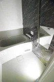 バス