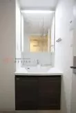 独立洗面台