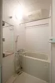 バス