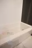 バス