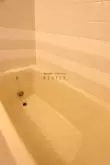 バス
