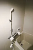バス