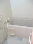 バス