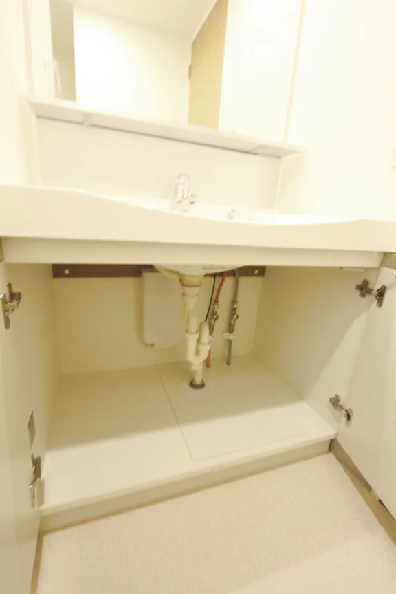 独立洗面台収納