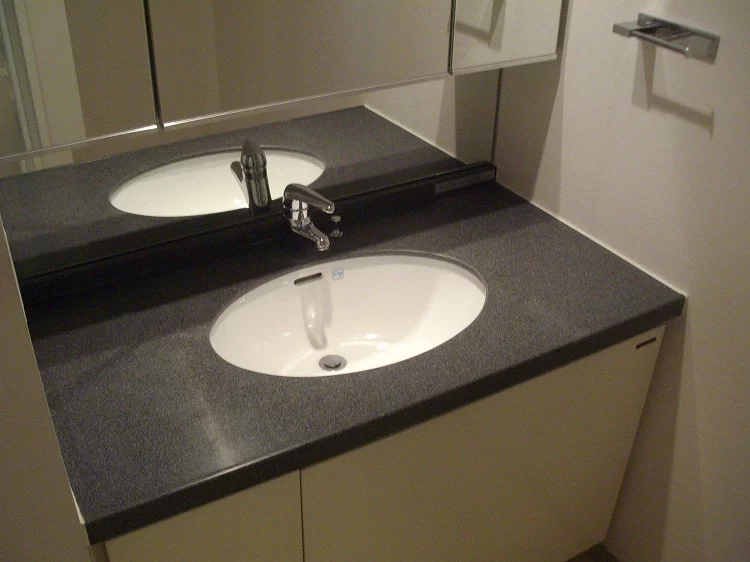 洗面台(参考情報)