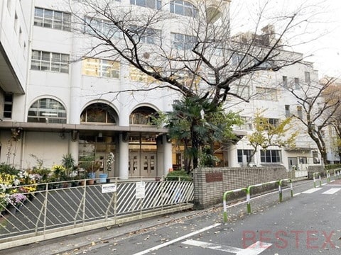 湯島小学校