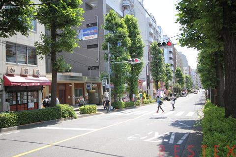 白山駅周辺の商店と生活施設