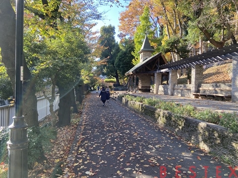 江戸川橋エリアの神田川沿い遊歩道の風景