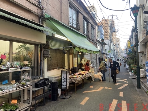 根津の細い路地に並ぶ小さな飲食店や雑貨屋の外観