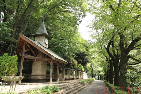 江戸川公園