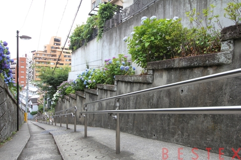 鼠坂