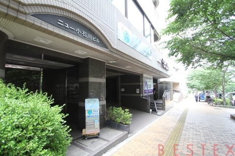 Joy to the World American International School(茗荷谷)
