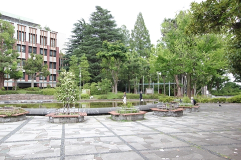 教育の森公園