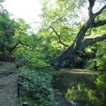占春園