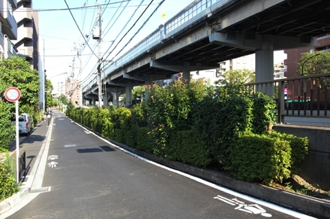 神田川沿いの道