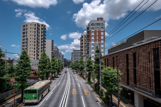 文京区本郷通り