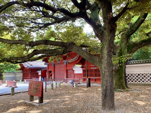 東大赤門前