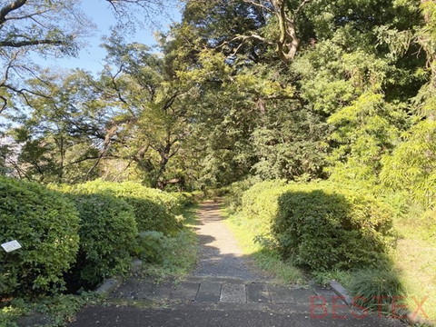 小石川植物園