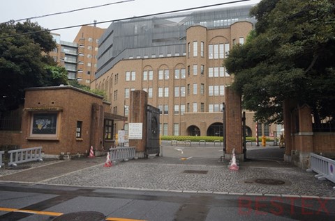 東京大学