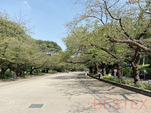 上野公園